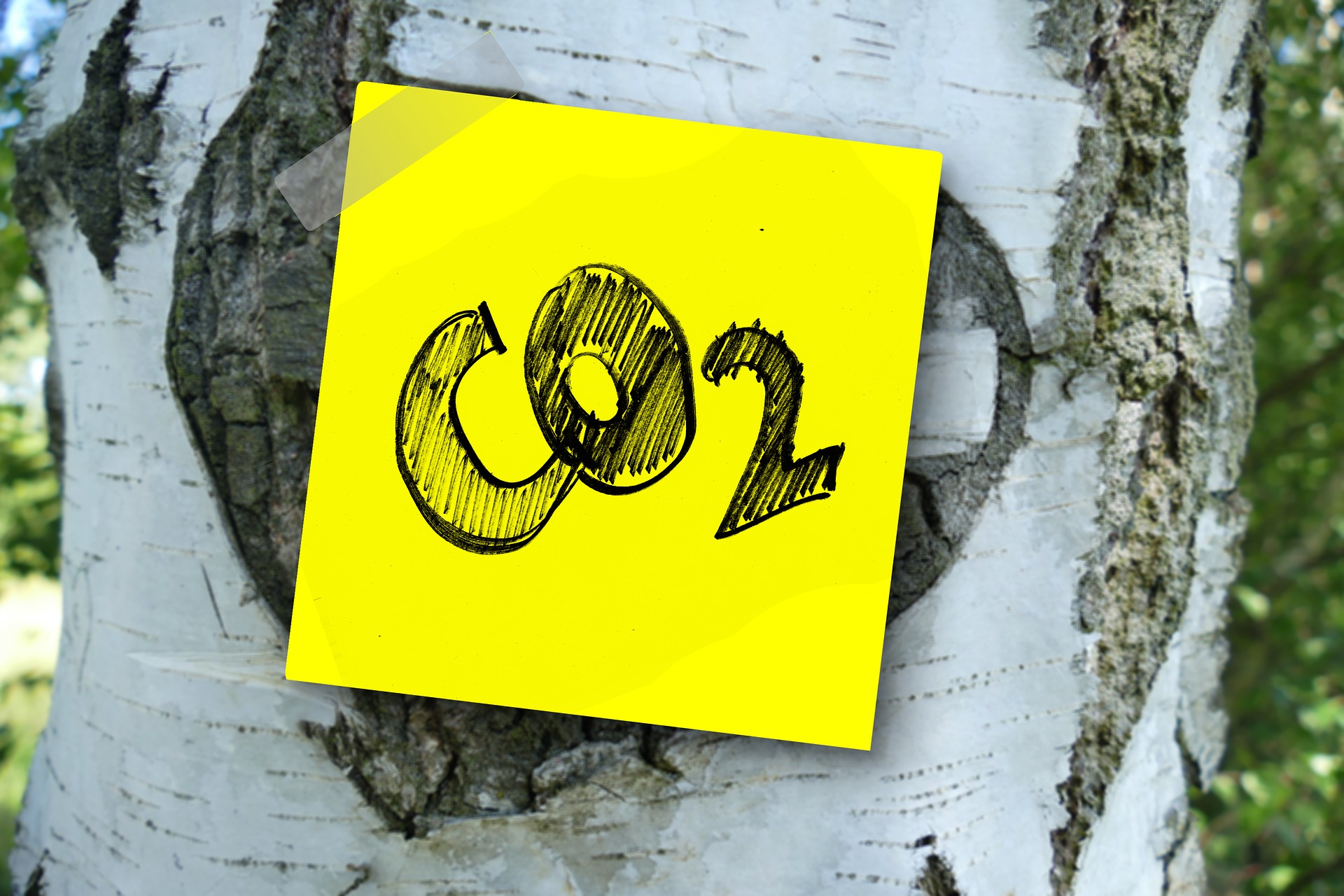 co2-3139230_1920